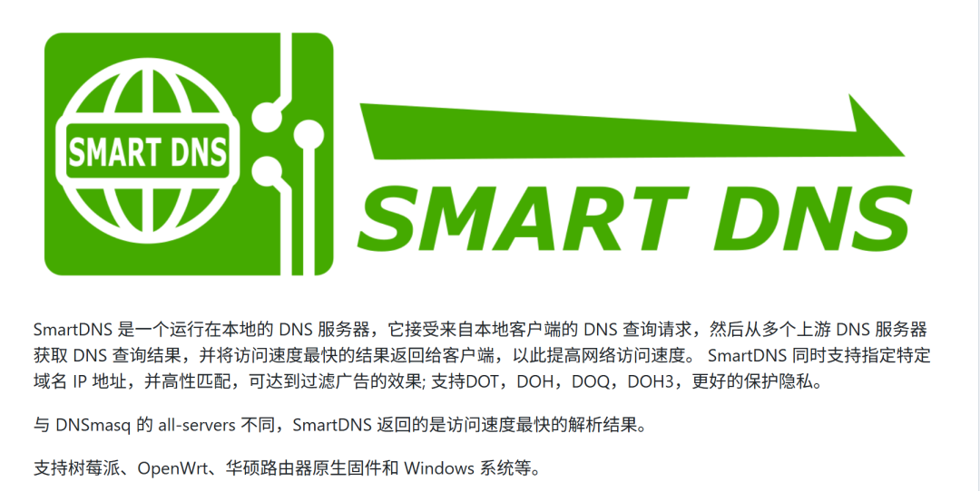 SmartDNS 项目介绍图，说明本地 DNS、多上游查询和加密协议能力