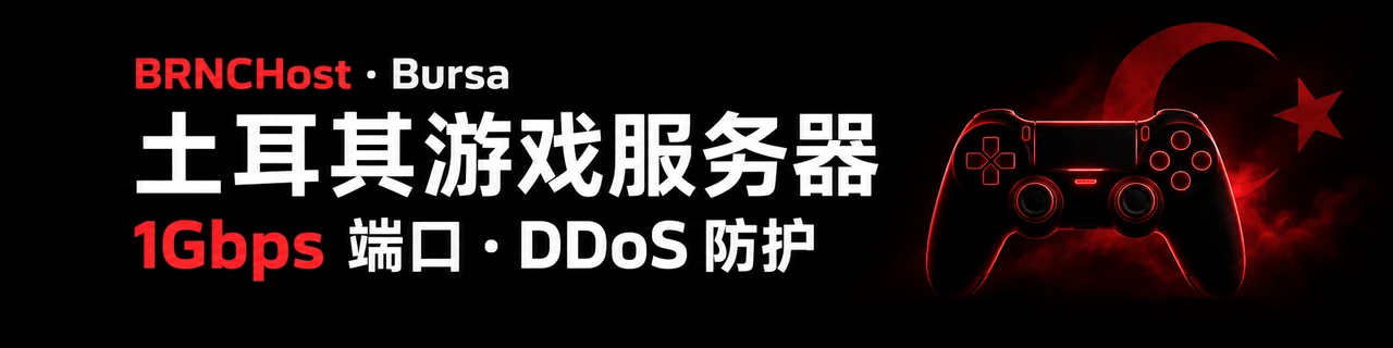 BRNCHost：Bursa土耳其游戏服务器，1Gbps端口，DDoS防护